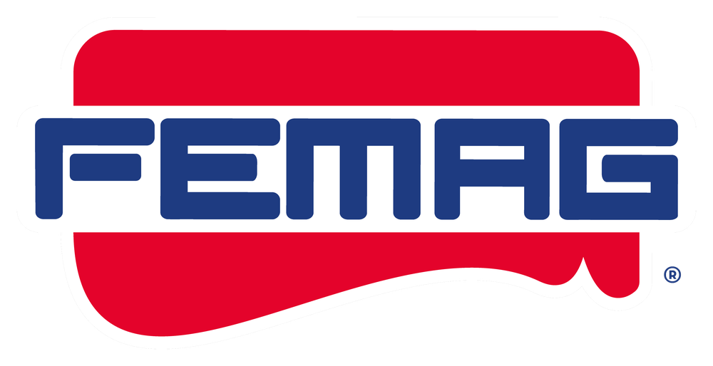 FEMAG